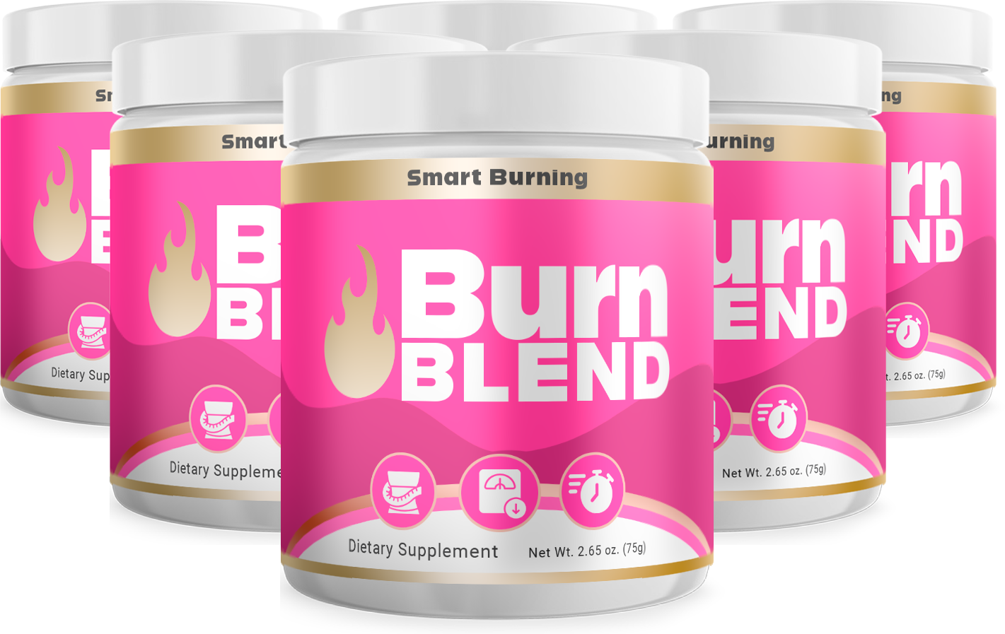 BurnBlend 6 Potes